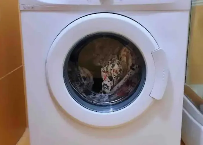 Sunshine Golem (Tirana)